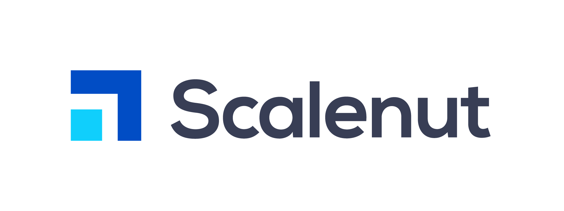 Logo of Scalenut