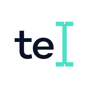 Logo of TypeEngine AI