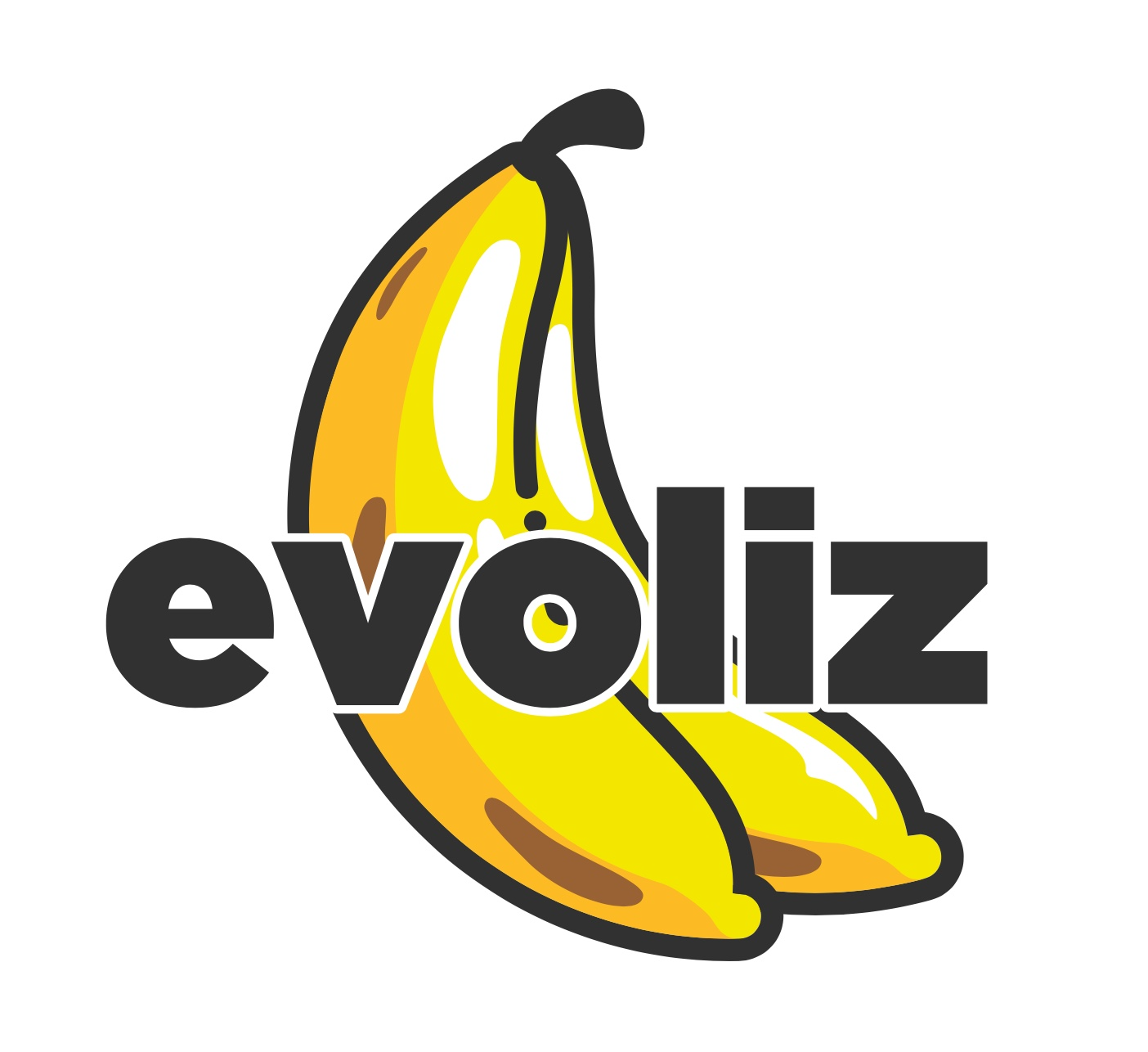 Logo of Evoliz