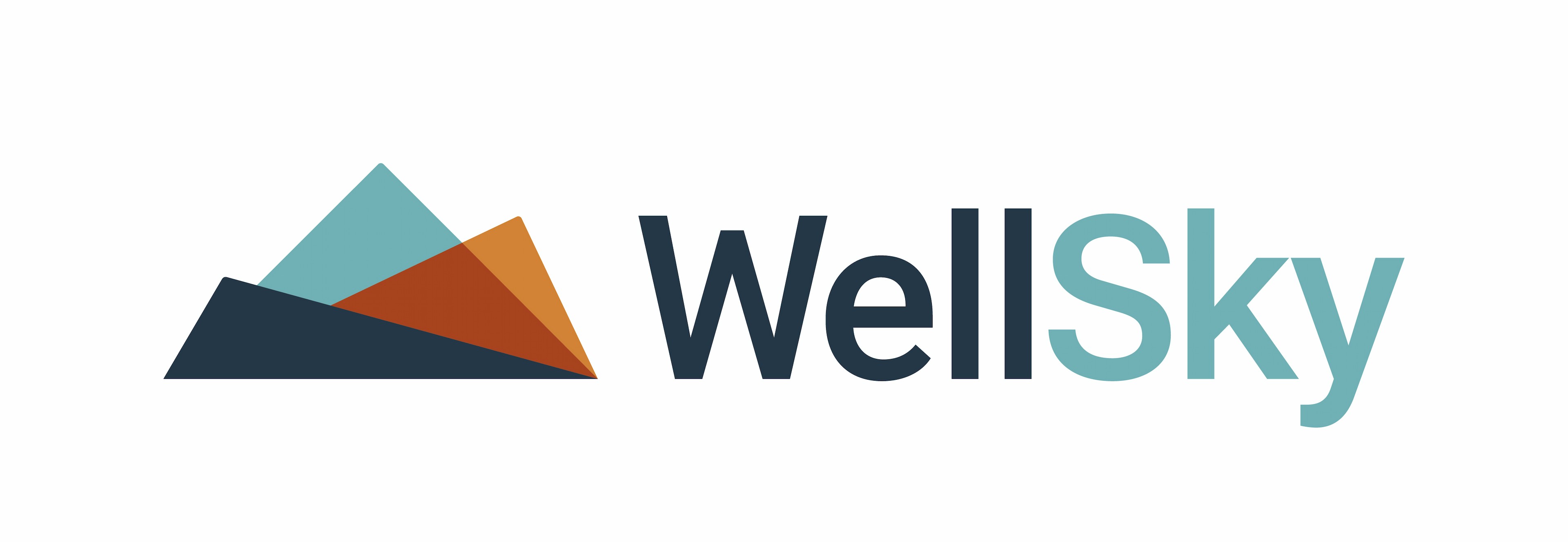 Logo of WellSky Healthcare Solutions