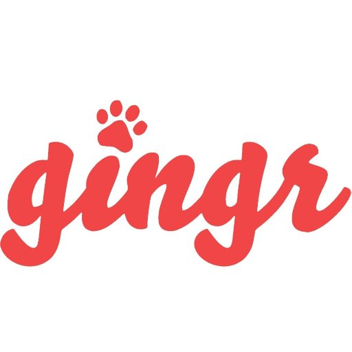 Logo of Gingr