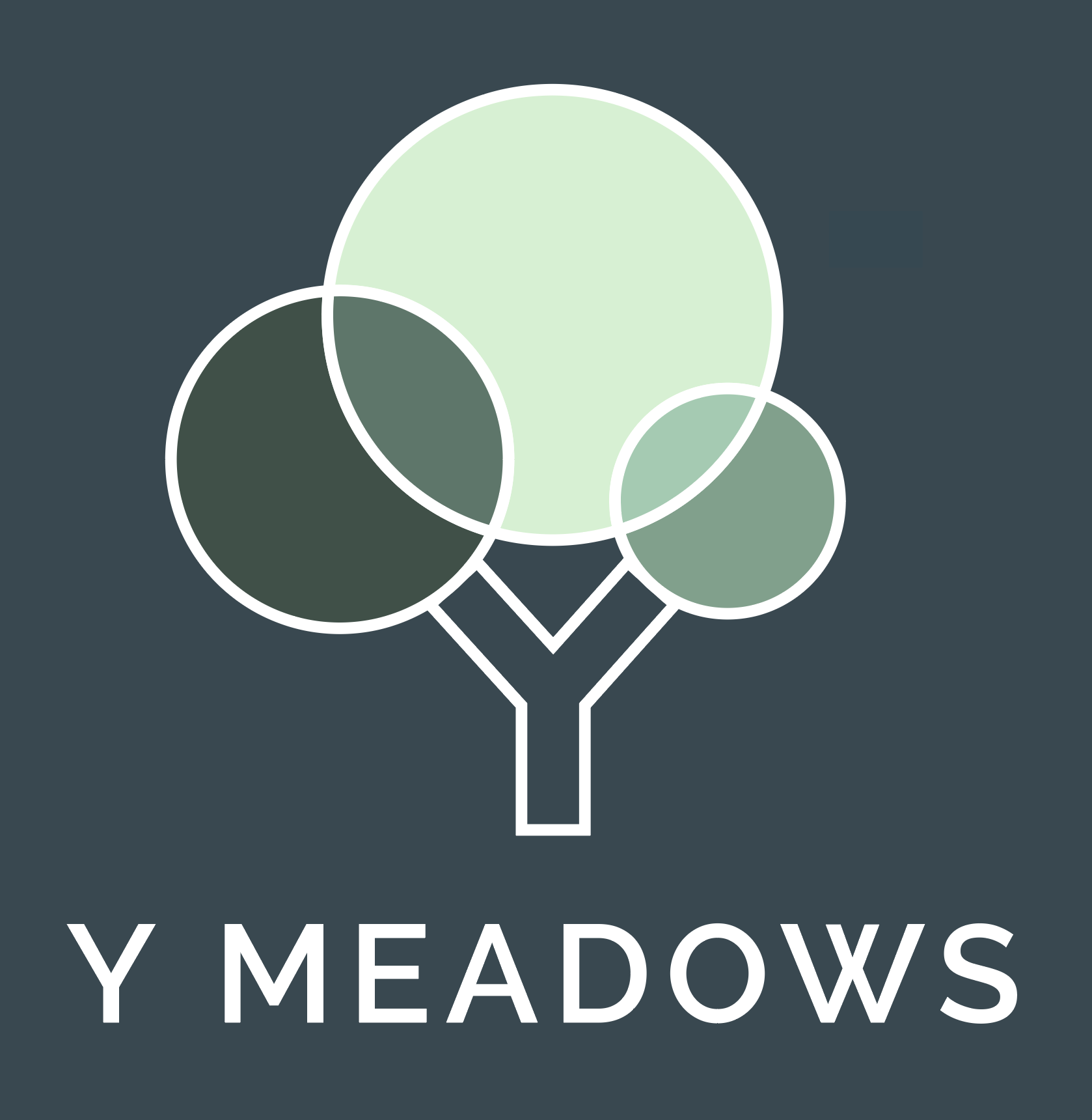 Logo of Y Meadows