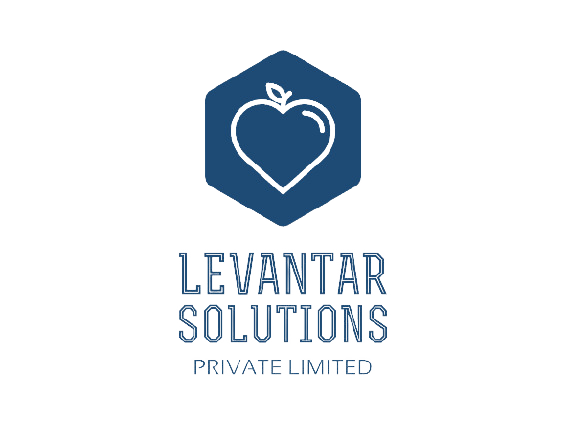 Logo of Levantar Solutions