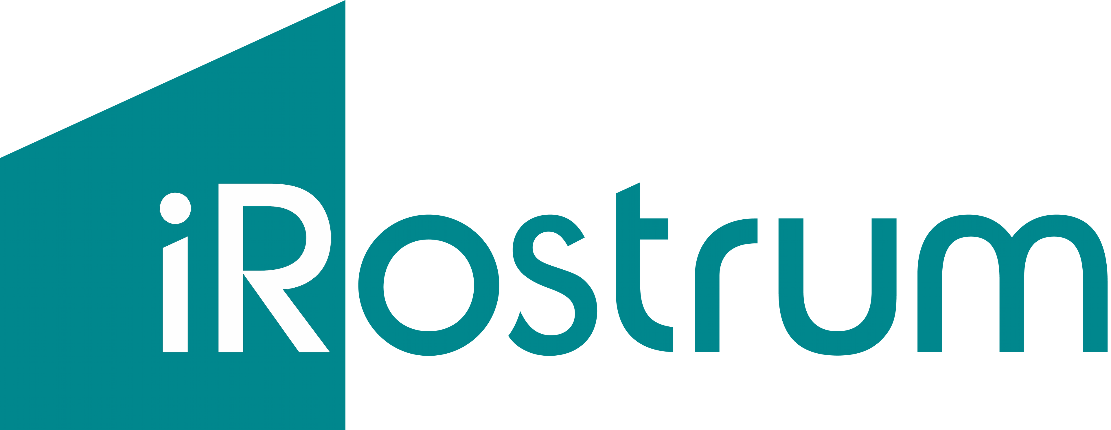 Logo of iRostrum Auction Platform