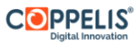 Logo of Coppelis Digital Solutions