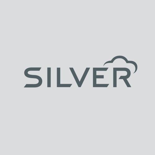 Logo of NCR Silver