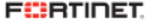 Logo of Fortinet Security Solutions