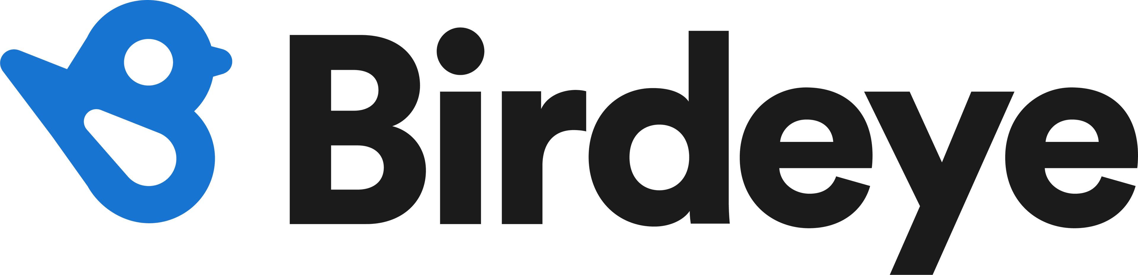 Logo of Birdeye