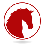 Logo of RedHorse Business Systems