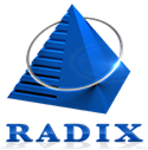 Logo of Radixweb Custom Software Development