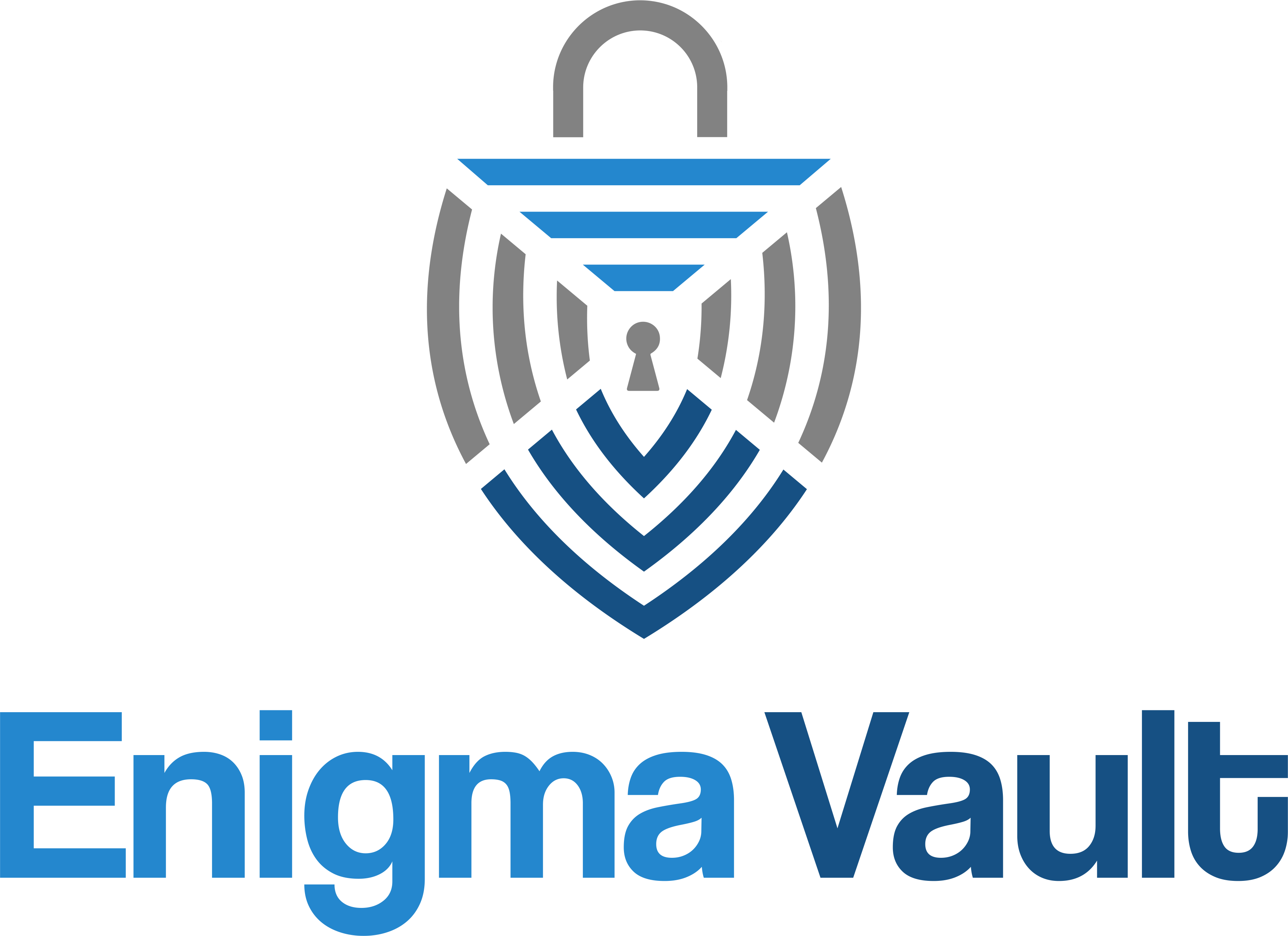 Logo of Enigma Vault