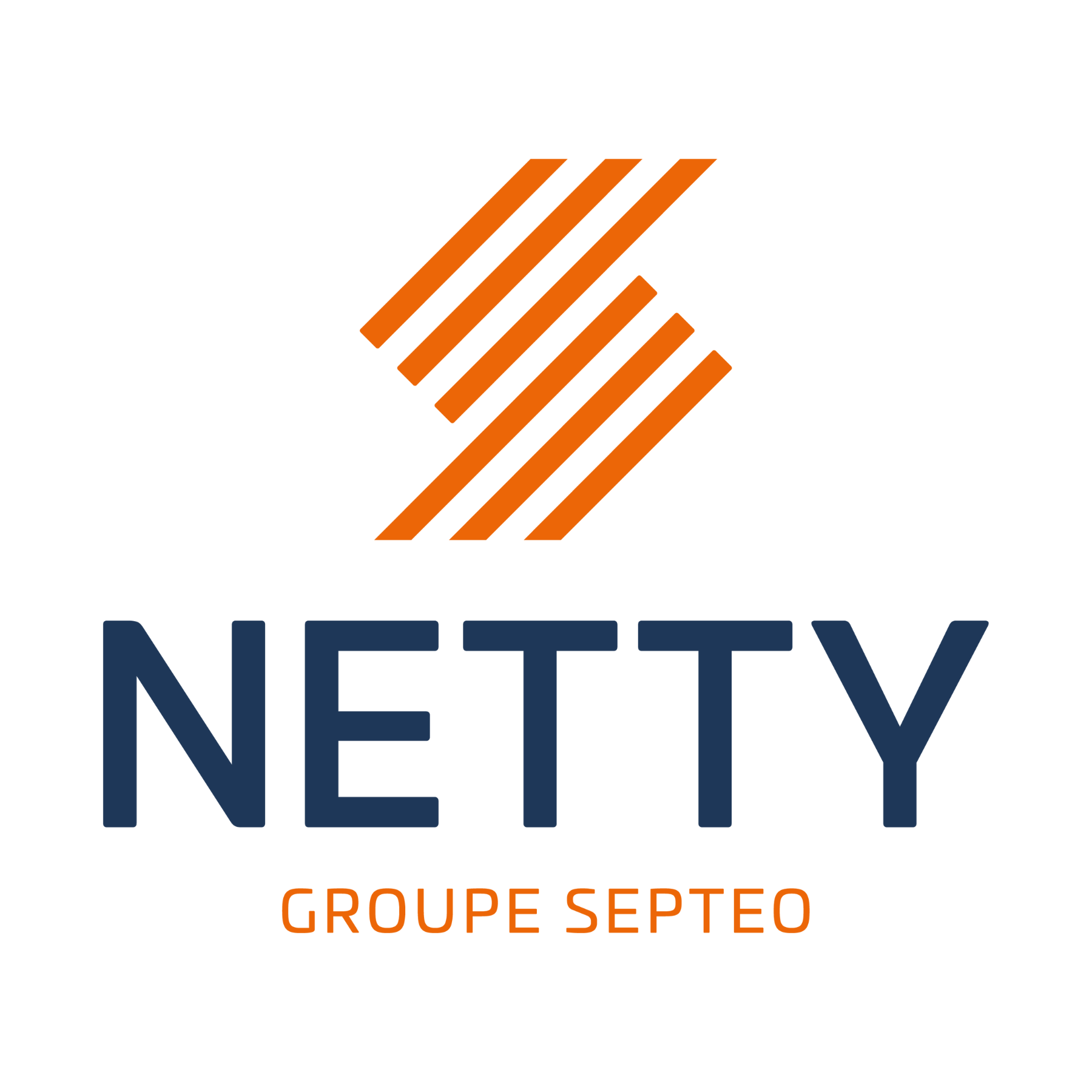 Logo of Netty Real Estate Software