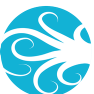 Logo of EventSquid