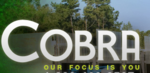 Logo of Cobra-USA Software Solutions