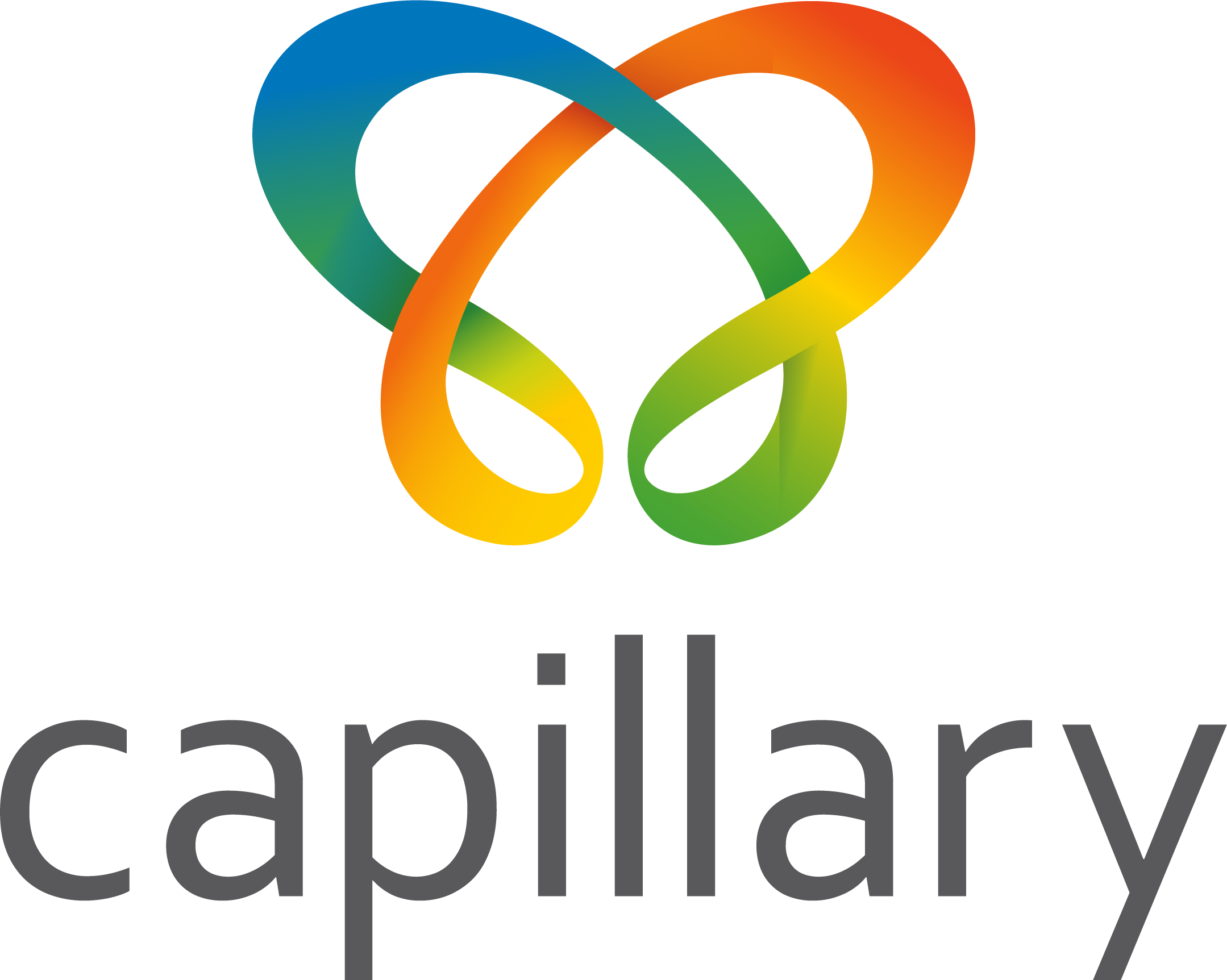 Logo of Capillary Technologies