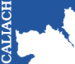 Logo of Caliach ERP