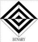 Logo of Binarysoft Technologies