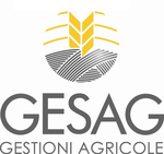 Logo of GESAG Management Software