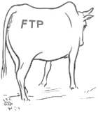 Logo of HostedFTP