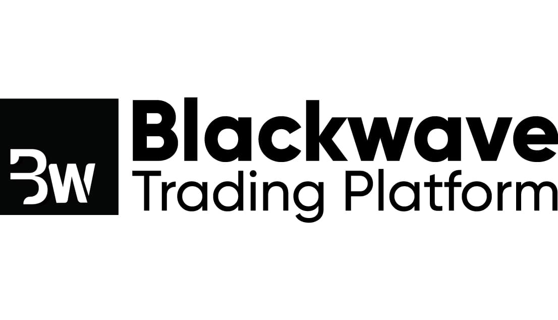 Logo of Blackwave Consulting Services