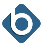 Logo of Banyon Data Software Solutions