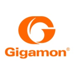 Logo of Gigamon Visibility Solutions