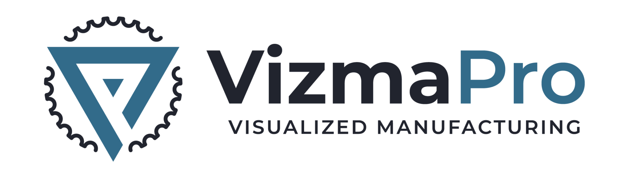 Logo of VizmaPro