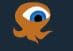 Logo of IOctopus Online Mind Mapping