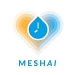 Logo of Mesh AI