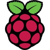 Logo of Raspbian