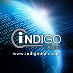 Logo of Indigo DQM