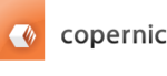 Logo of Copernic Search Solutions