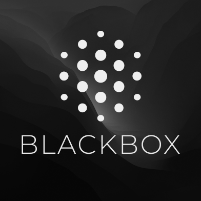 Logo of BLACKBOX AI