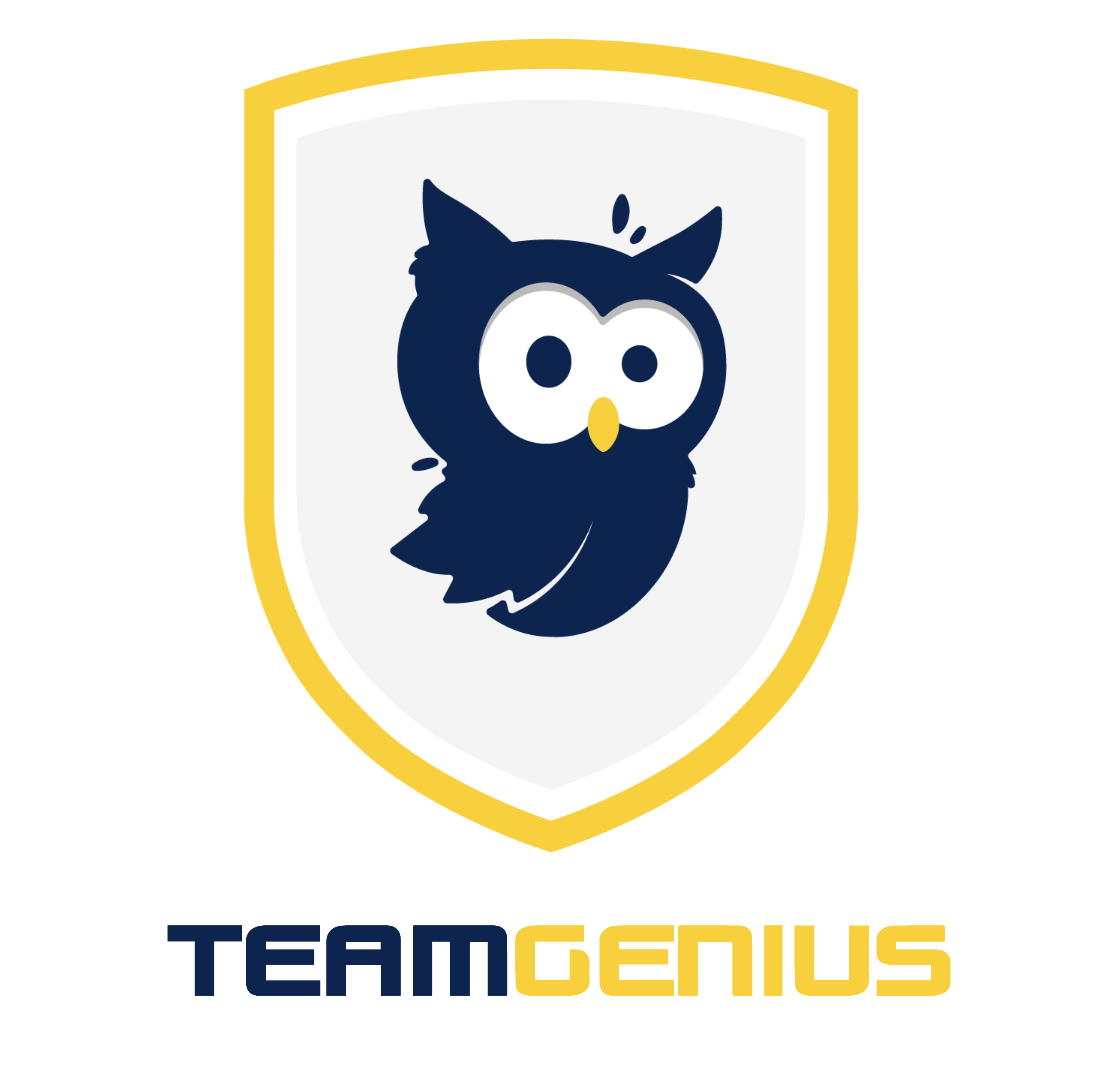 Logo of TeamGenius