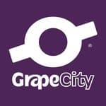 Logo of GrapeCity Development Tools