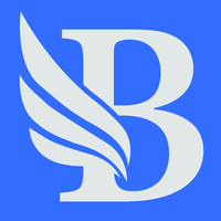 Logo of BidLight