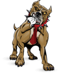 Logo of PitBullTax