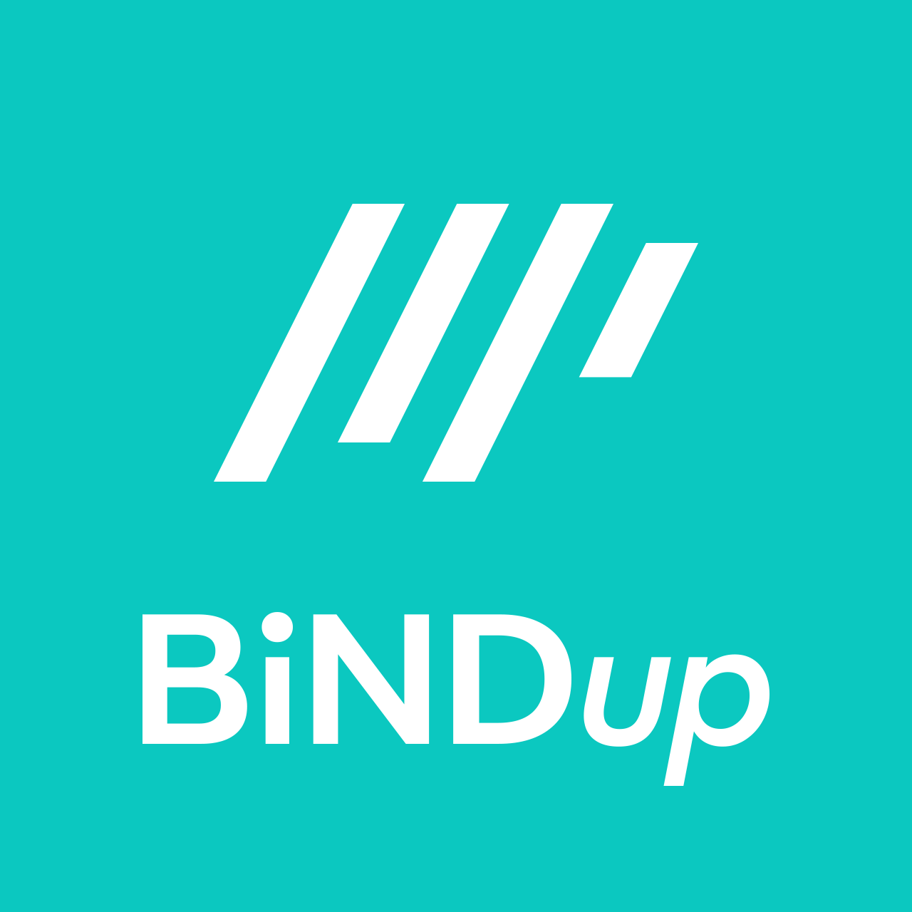 Logo of BiNDup